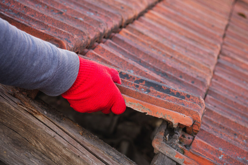 Dachdecker prüft beschädigte, verwitterte Dachziegel auf einem alten Steildach in Kevelaer – Vorbereitung für eine Dachsanierung im Bestand.